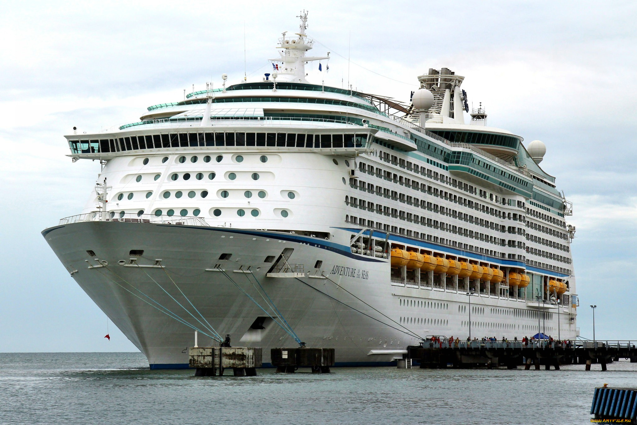 adventure of the seas, , , , 